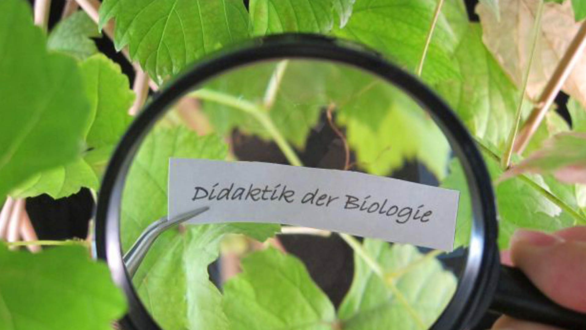Didactics of Biology