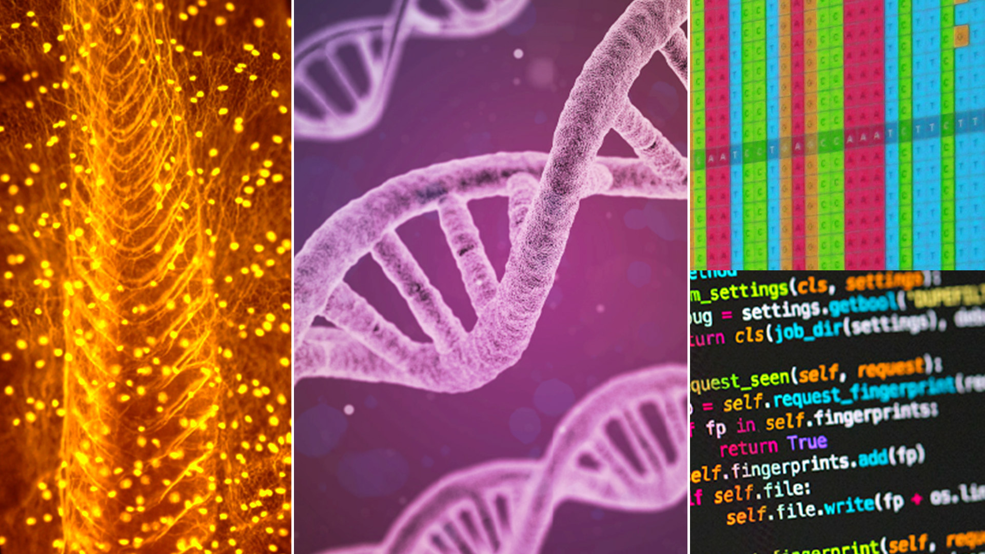 Molecular Genetics